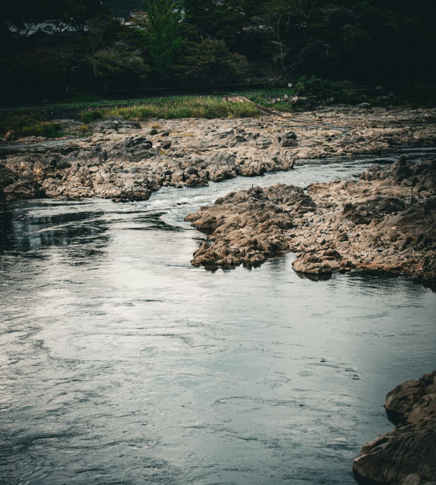 A calm river flowing over rocky terrain surrounded by greenery.