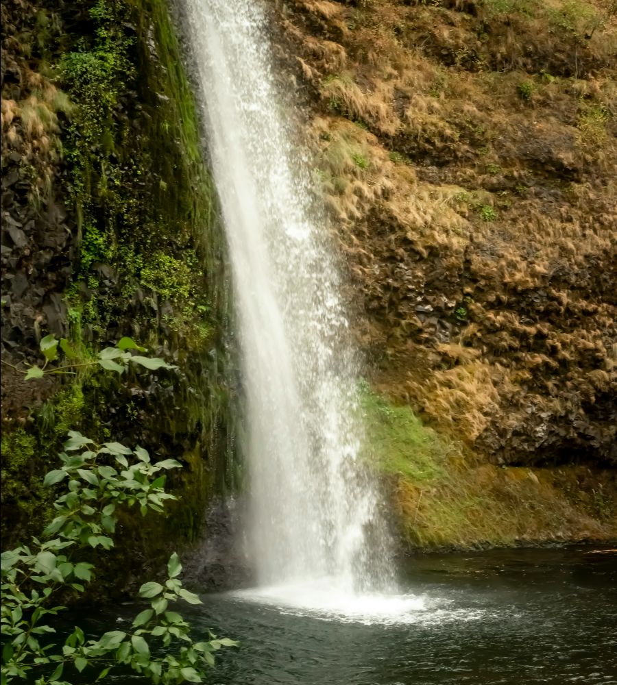 A serene waterfall cascading into a calm pool surrounded by greenery.